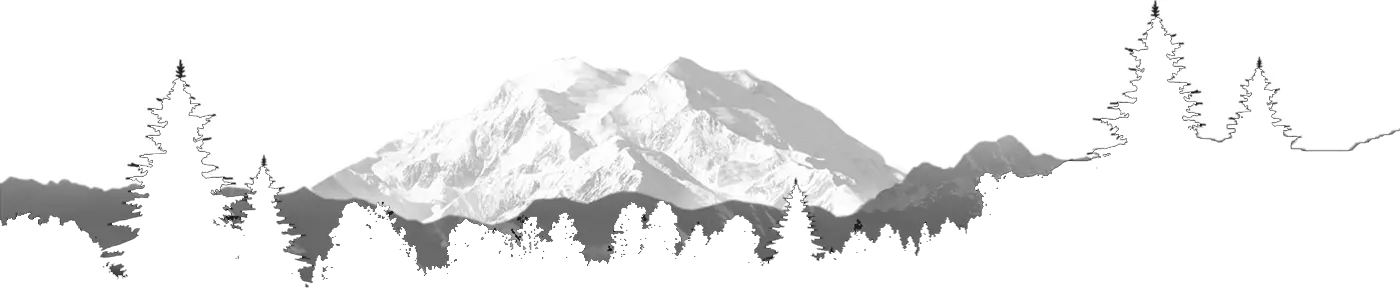 Footer Image